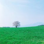 ちょっと一息☕️