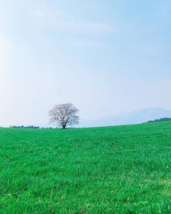 ちょっと一息☕️