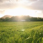 好きな言葉があるんです。