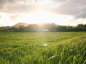 好きな言葉があるんです。